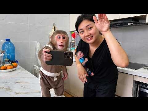 Lala And Baby Monkey Are FURIOUS At Cameraman After This Accident!