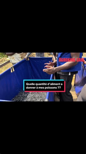 Quelle quantité d’aliments à donner à mes poissons et à quelle fréquence ? #alimentation #poisson