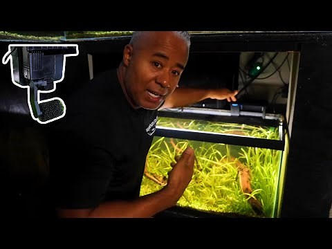 Optimize Seachem Tidal Filters for Crystal Clear Water