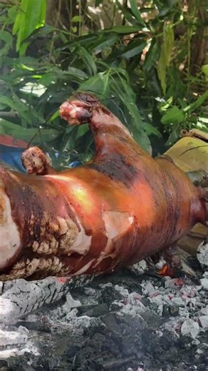 Traditional way of cooking lechon sa Cebu!