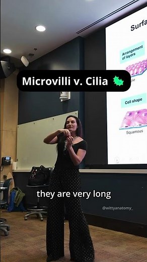 🧠Uterine tube lumen: should we find microvilli or cilia?