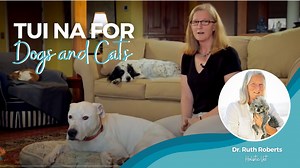 3.2K views · 14 reactions | Tui-na massage is a type of bodywork...