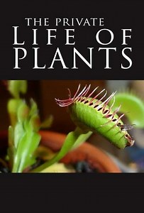 The Private Life of Plants (1995) - TV Show