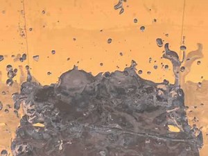 Adaptively Sampled Particle Fluids