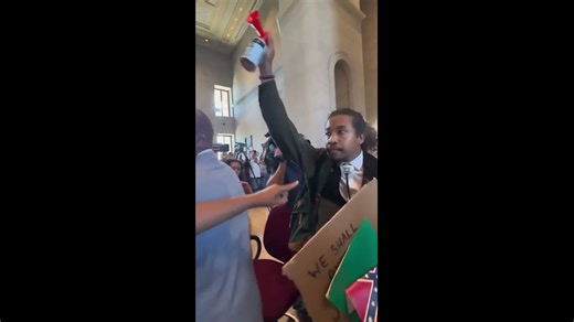 TN Democrats burn Confederate flag during walkout