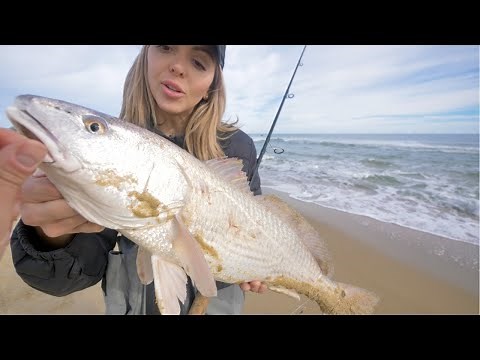 Beach Fishing with Shrimp! All Species of Fish Caught! (Catch and Cook)
