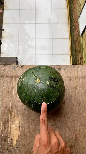 Experiment: Do watermelons and water balloons explode if dropped from a height?