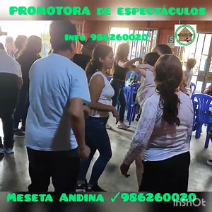 5.4K views · 59 reactions | #ESPLÉNDIDOS_DE_SALVIA...