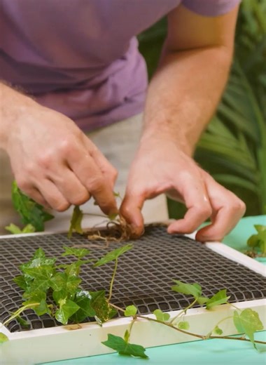 Apportez de la fraîcheur à votre jardin avec ces astuces et conseils ! | Brico Enfants