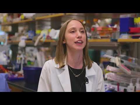 BioBits: Low-cost education kits for molecular and synthetic biology