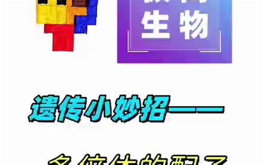 多倍体配子问题（极简生物——遗传专题）
