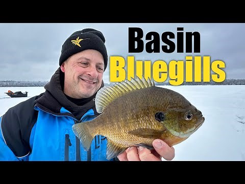 Ice Fishing Bluegills In Basins