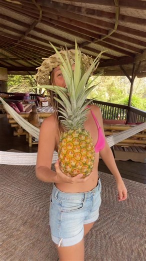 How to make a pineapple Christmas tree with coconut snow! Decking the treehouse halls with lots of aloha! | Alison's Adventures