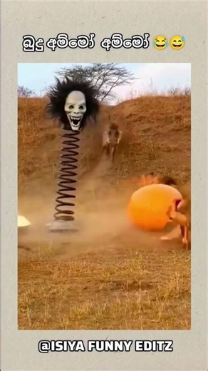 පව් යකෝ 😂😅 #funny #srilanka #comedy #jokes #trendingshorts