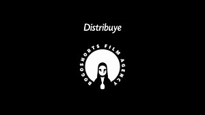 Vorágine 31 / The Vortex 31