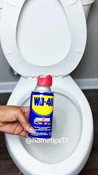 Spray WD-40 in a toilet bowl tonight and see what happens by morning ​#DeepCleaning​ #toilethack