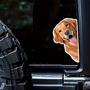 3D Dog in The Window Car Sticker Funny Dog Decal Cute Car Vinyl Graphics Funny Animal Decal Sticker Car Truck SUV (Golden Retriever)