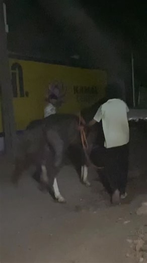 @abhi_kathi_junagadh on Instagram: "Training day 5"