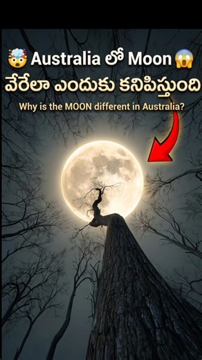 💥Australiaలో Moon వేరేలా ఎందుకు కనిపిస్తుంది?🤯 #moon #shorts #viral #amazingfacts #space