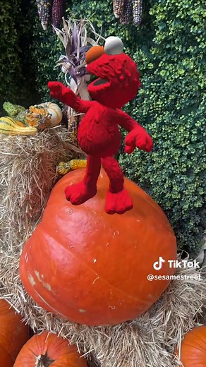 Elmo's Dance Moves: Try 3 New Fun Filters!