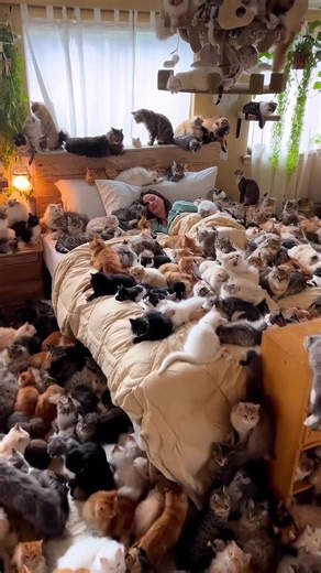 This is my idea of happiness 😴