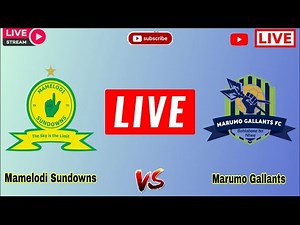 Mamelodi Sundowns vs Marumo Gallants live match today score | South Africa Premiership League Live