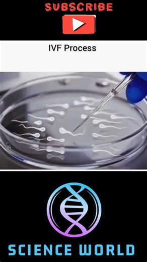 IVF process #sciencefacts #biology #science #IVF