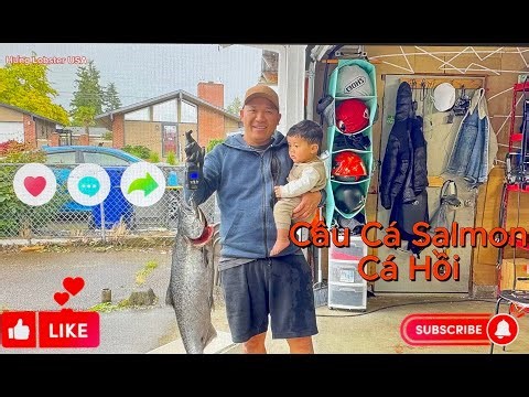 Salmon Fishing in America || Beautiful Scenery | Relaxing | Fish for Hot Pot.