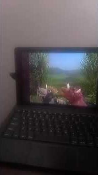 Sesame Street Kermit Sings Do Wop Hop