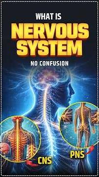NERVOUS SYSTEM | SSC & RAILWAY GK 2026