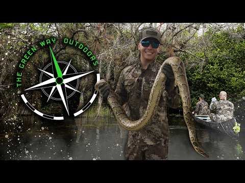 Season 5, Episode 1- Hunting Invasive Burmese Pythons In Everglades - The Green Way Outdoors TV Show