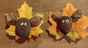 Woman Uses Moose Poop To Create Art For Her Booming Business