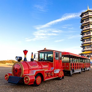 [Hot Item] Trackless Kids Sightseeing Train for Family Adventures and Fun