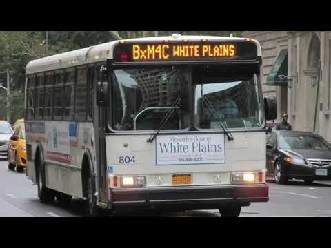 All Bee-Line startups including the retired Neoplan AN460, Orion V & Orion VII HEV