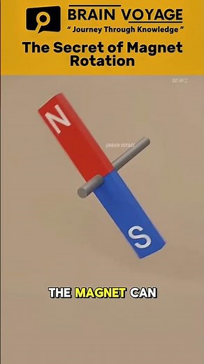 Magnet Secrets Revealed! Why Do Magnets Always Attract & Repel? #magnet #shortvideo #shorts