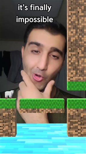 Minecraft Sheep Filter Challenge Game