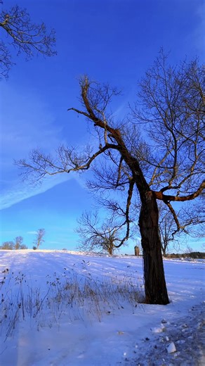 Exploring Pennsylvania's Scenic Trails