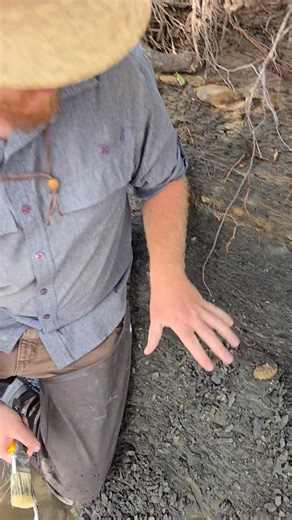 Check out the absolutely incredible iridescent hoploscaphites fossil that Ben found in the Pierre Shale of Colorado! | Colorado Geology