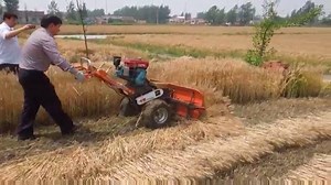 For more interesting videos, please like our FB page www.facebook.com/agrimech.net Wheat harvester, mini rice and wheat reaper, the machine has a simple structure, easy operation and maintenance, small size, light weight, low power consumption, stable performance, reliability, applicability, and other characteristics. Especially for small plots, mountains, hills and the region which need straw utilization for harvesting rice, wheat,soybeans and reed. | AGRI MECH
