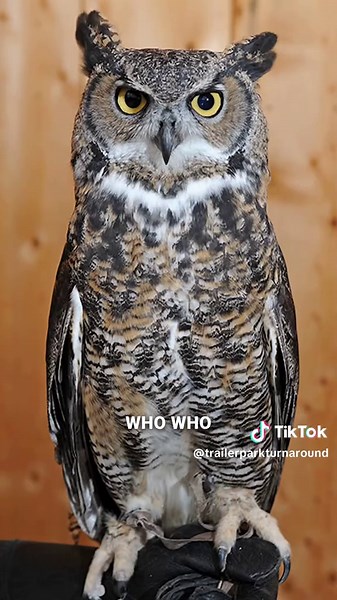 Mobile Home Park Meltdown! Watch as Eric dramatically deals with a trucker on site. For more laughs, check out our YouTube channel @ Trailer Park Turnaround ! #mobilehome #mobilehomeparks #realestate #realestateinvesting #investing