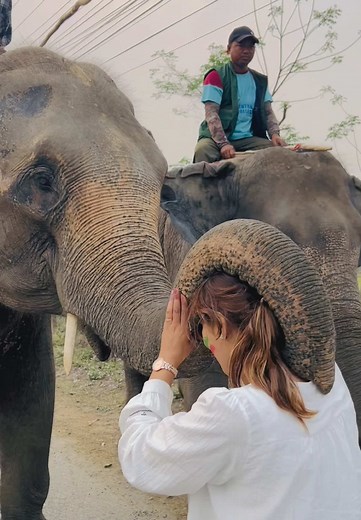 Since childhood, I’ve felt a deep connection with animals, but elephants have always held a special place in my heart. It’s not just their size or strength—it’s their soul, their silent way of understanding, their ability to feel and remember. The first time I touched an elephant, I felt something indescribable, like they saw right through me, like they knew my heart. Their eyes held stories of love, loss, and resilience. Being with them, I felt peace. I felt understood. And every time I had to