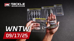 Featured New Product 👉 https://bit.ly/469izJe With fall approaching fast, it's time to start prepping your gear! What's New At Tackle Warehouse has you covered with minnows and swimbaits from 6th Sense Fishing, plus tons of new boat cleaning accessories from @BoatDrip! New Products from Brazalo Custom Lures, Signal/Signal Lure Japan, and Teckel Lure to dial in your fall bite!・・・ ►Make sure to keep it locked into Tackle Warehouse’s YouTube Channel to get more exclusive content, firsthand angler 