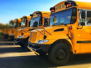 Bus Routes Posted For Greenwich Public Schools
