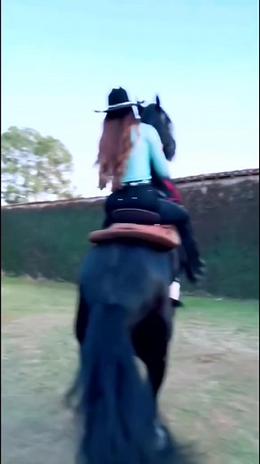 32 reactions · 12 comments | Vida no Campo on Reels | Facebook