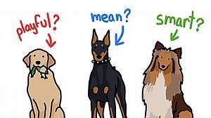 How Different Dogs In the Same Breed Group Have More In Common With Dogs In Other Breed Groups