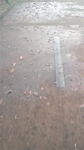 Teixeira Inês (@ines_teixeira2256_)’s videos with som original - Vania Costa - Baianinha