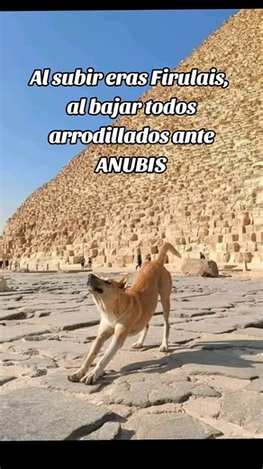 El meme del perrito Anubis en pirámides de Egipto