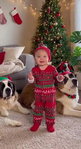 Baby & Dog Elf Dance Party! 🕺🐶🎄Who has the best dance moves #cutedogs #doglover #funnydogvideos #heroes #lovedogs | Idea to Crochet