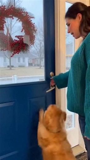 Heartwarming Dog-Soldier Reunion A dog's love knows no bounds. See this joyful reunion with a soldier. #fblifestyle #AI Generated using Kling AI . . . (For entertainment purposes only. Consult professionals if guidance on activities is presented. No brand affiliation is implied if any are shown. If inspired by true events, creative adaptations may be included. Content may include public footage.) | Fabiosa Daily