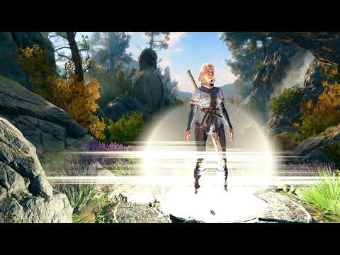 Baldur's Gate 3 ULC + Level 40